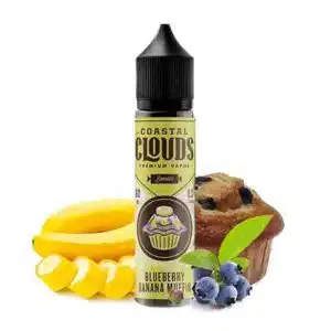 Blueberry Banana Muffin – Coastal Clouds
