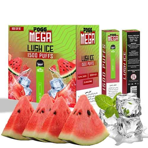 Fogg-Mega-Disposable