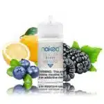 Naked 100 Really Berry