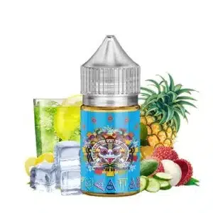 YUCATAN ICE Saltnic – Ohmboyz Drip City