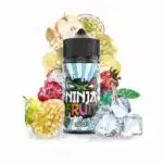 Sensei Ice - Ninja Fruit