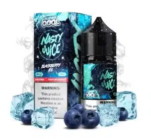 Blueberry Ice Salt - Nasty